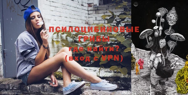 ешки Сафоново