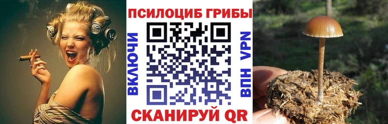 где купить наркоту  Старый Крым  Псилоцибиновые грибы ЛСД 